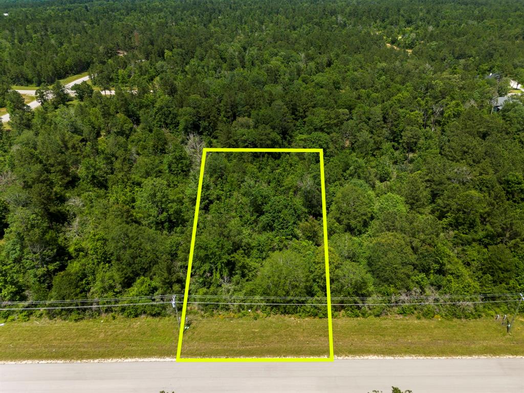 110 Coyote Run, New Waverly, Texas image 16