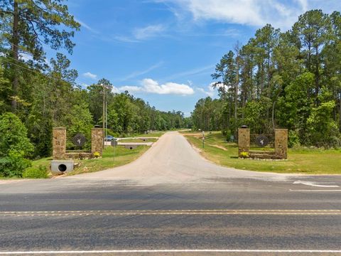 Photo of 110 Coyote Run, New Waverly, TX 77358 (MLS # 73340798)