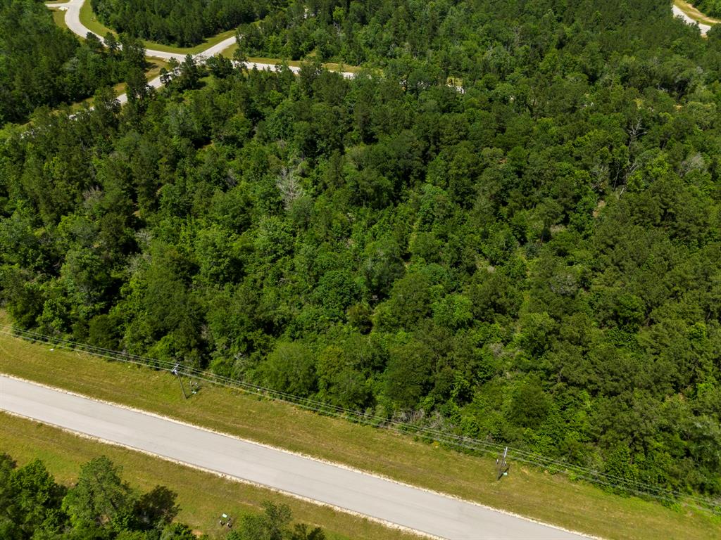 110 Coyote Run, New Waverly, Texas image 22