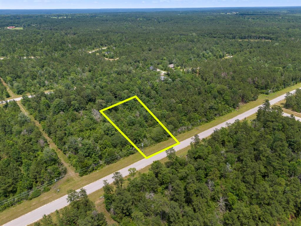 110 Coyote Run, New Waverly, Texas image 18