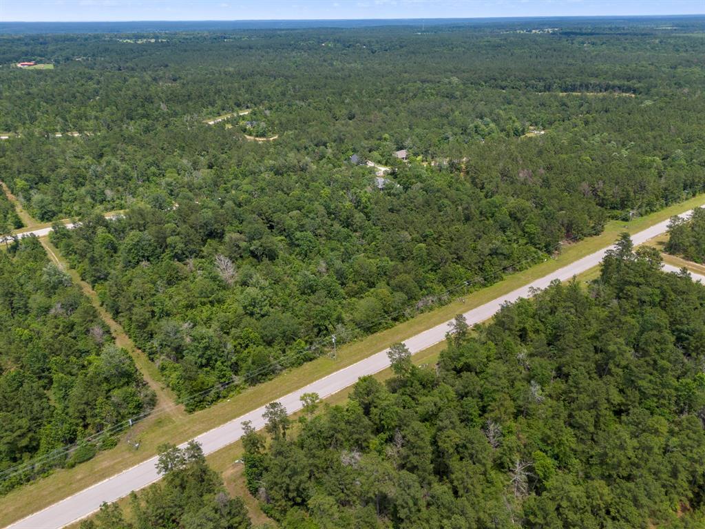 110 Coyote Run, New Waverly, Texas image 26
