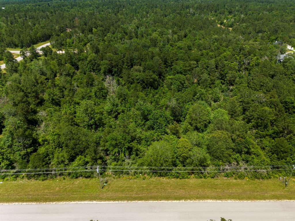 110 Coyote Run, New Waverly, Texas image 21