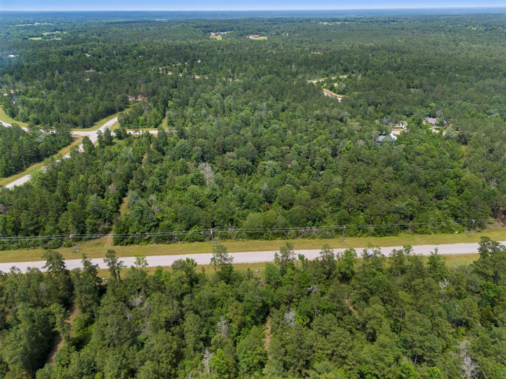 110 Coyote Run, New Waverly, Texas image 25