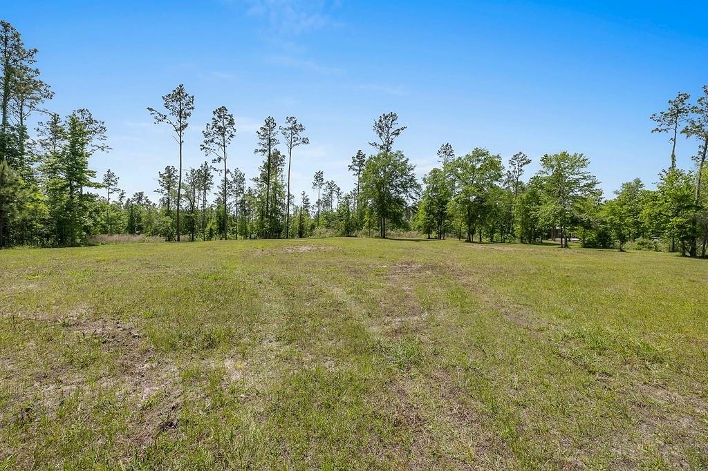 444 Carmona Road, Corrigan, Texas image 24