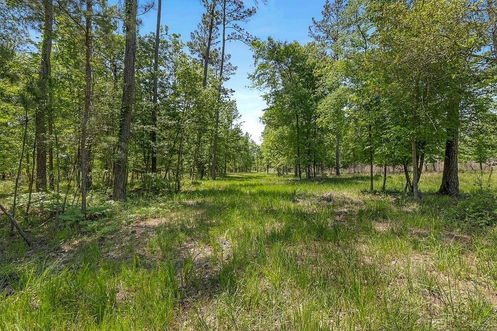 444 Carmona Road, Corrigan, Texas image 26