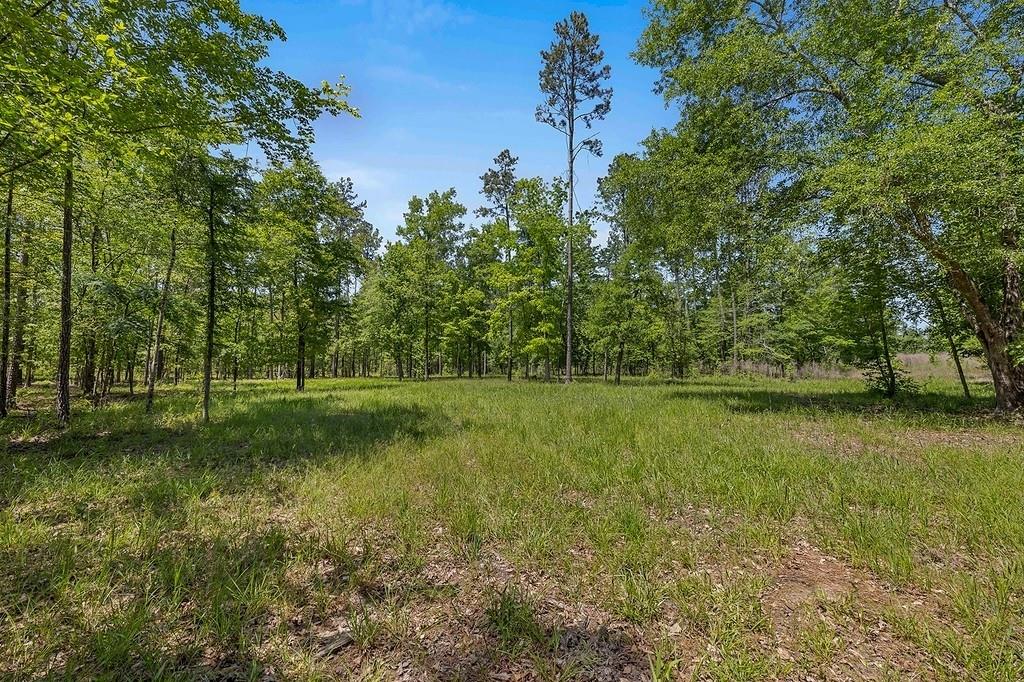 444 Carmona Road, Corrigan, Texas image 27
