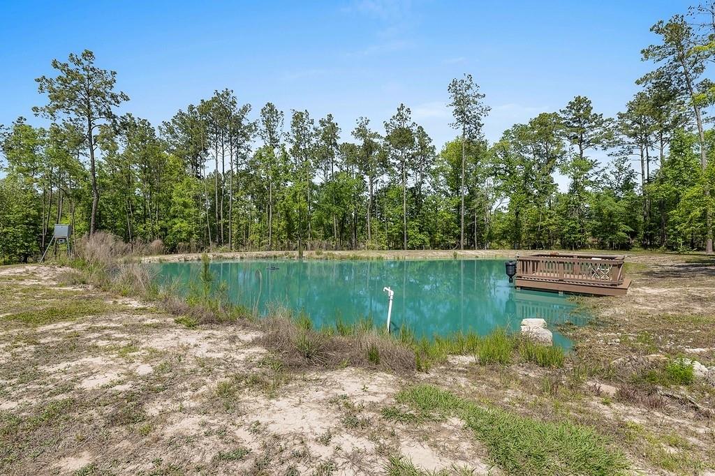 444 Carmona Road, Corrigan, Texas image 20