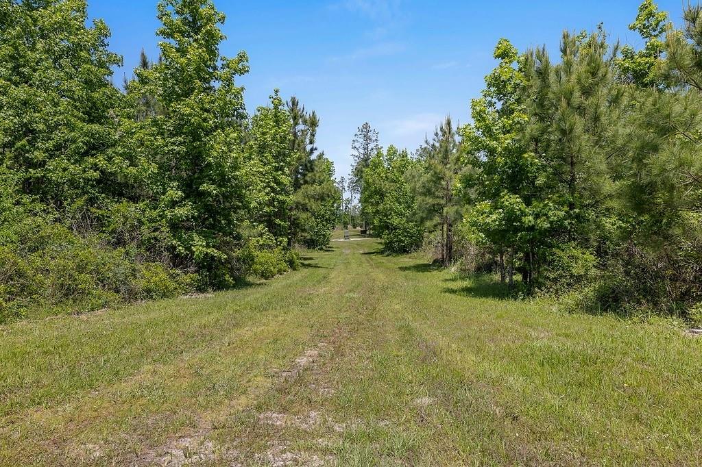 444 Carmona Road, Corrigan, Texas image 23