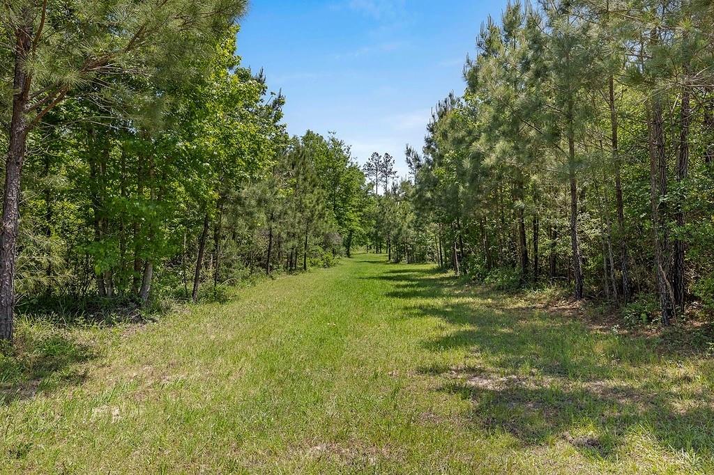 444 Carmona Road, Corrigan, Texas image 22