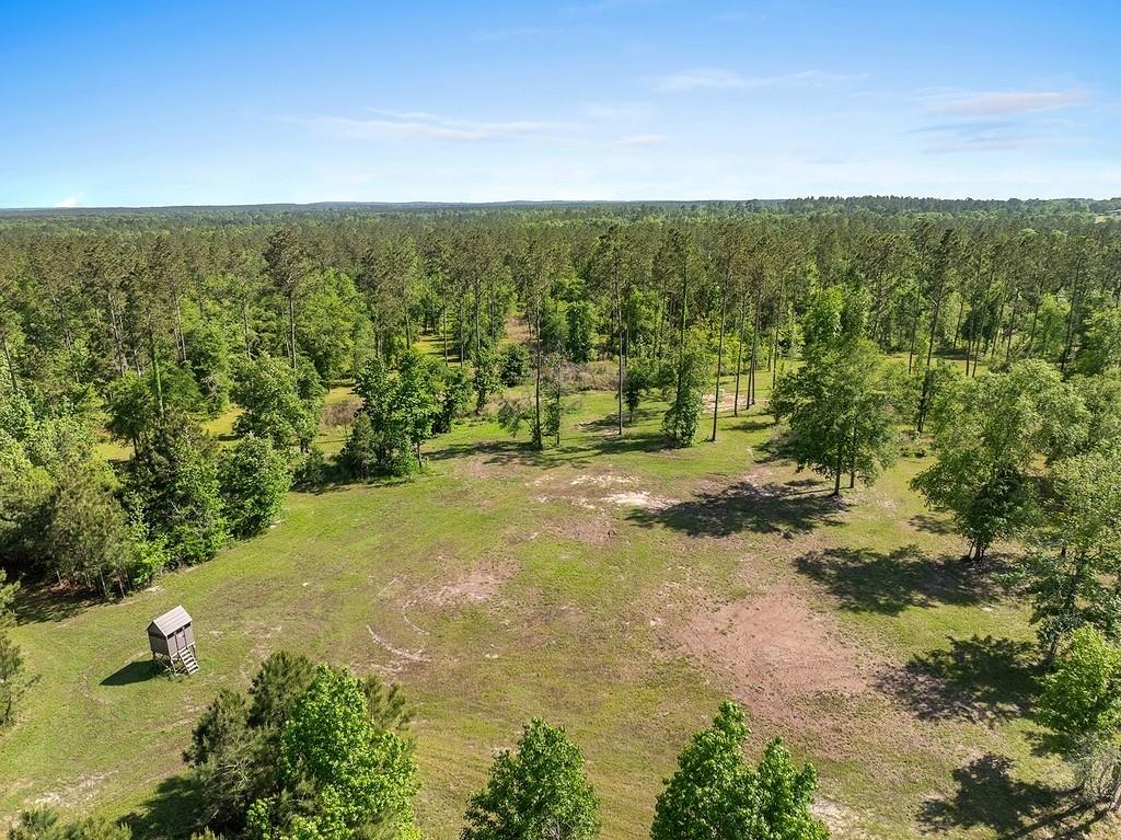 444 Carmona Road, Corrigan, Texas image 21