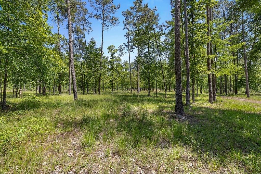 444 Carmona Road, Corrigan, Texas image 28