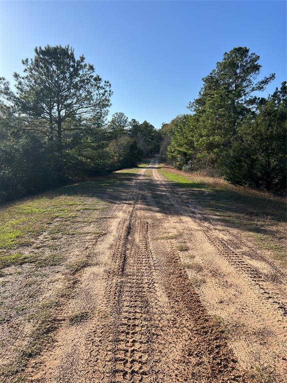 38776 Meadow Lark Lane, Hempstead, Texas image 3