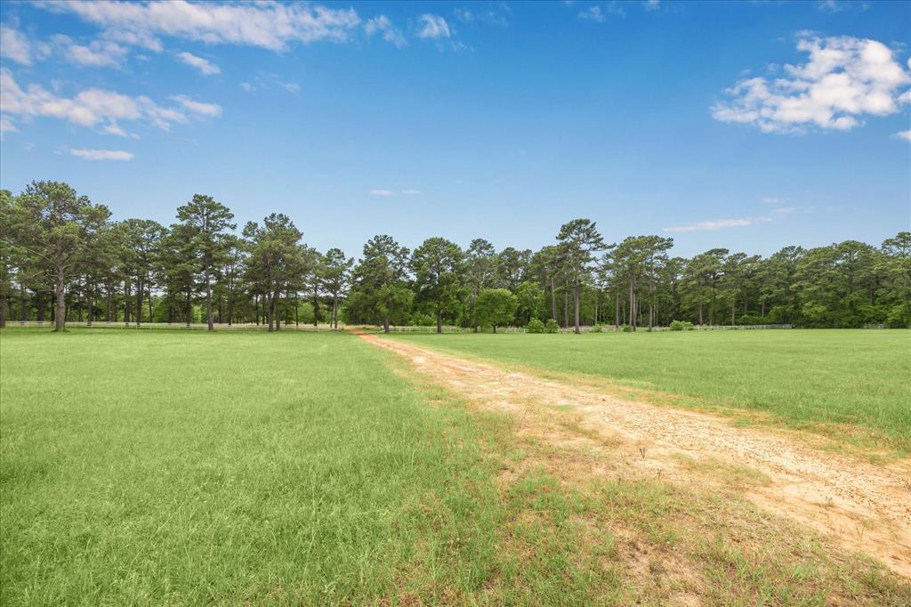 603 Terri Lane, Pinehurst, Texas image 22