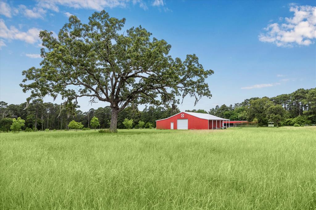 603 Terri Lane, Pinehurst, Texas image 19