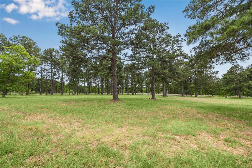 603 Terri Lane, Pinehurst, Texas image 21