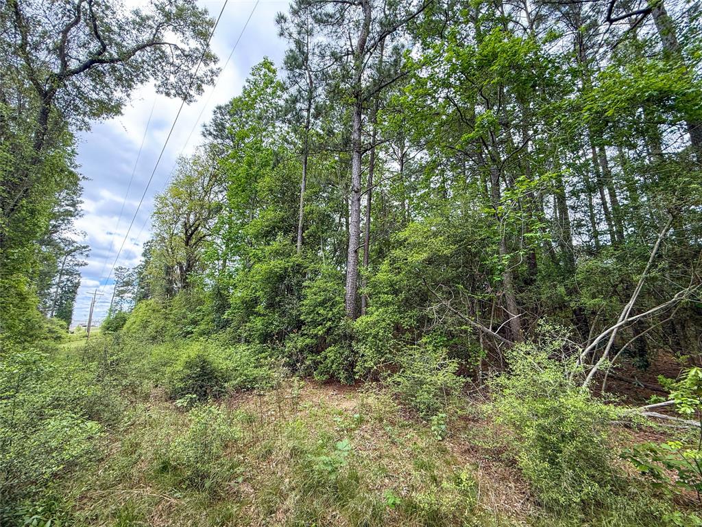TBD County Road 4269, Woodville, Texas image 38