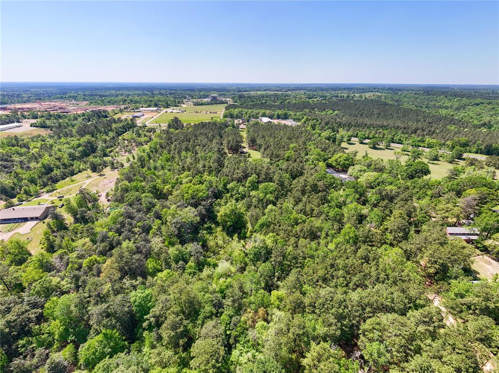 TBD County Road 4269, Woodville, Texas image 29