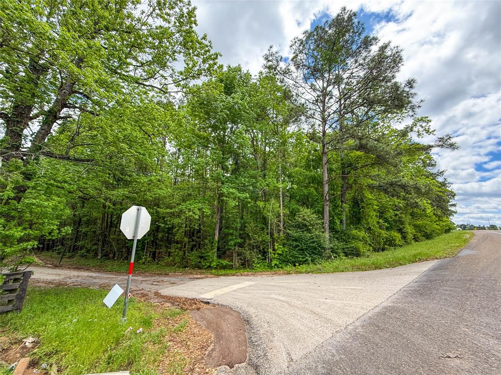 TBD County Road 4269, Woodville, Texas image 41
