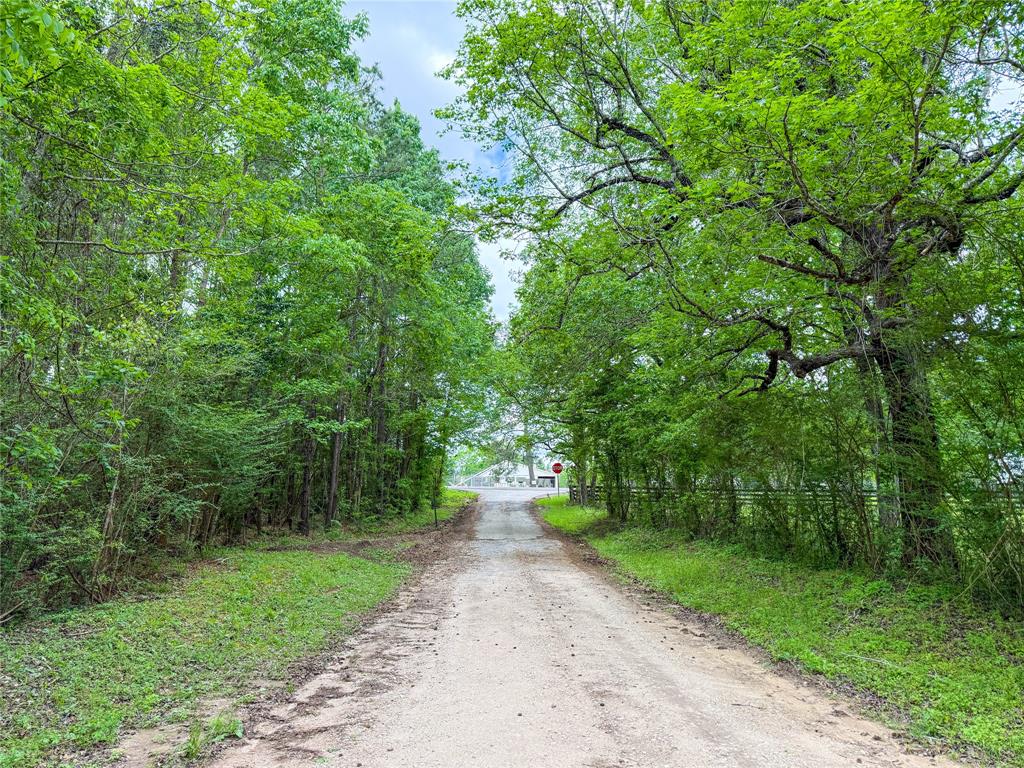 TBD County Road 4269, Woodville, Texas image 2