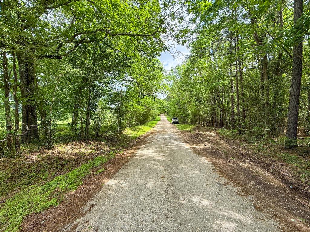 TBD County Road 4269, Woodville, Texas image 42