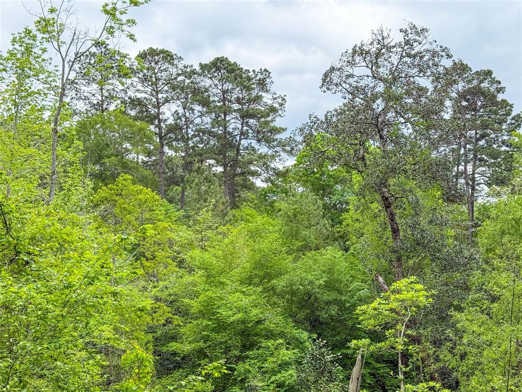 TBD County Road 4269, Woodville, Texas image 28