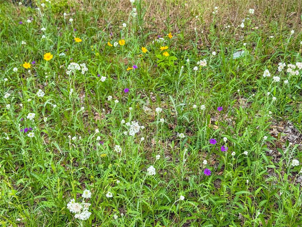 TBD County Road 4269, Woodville, Texas image 19