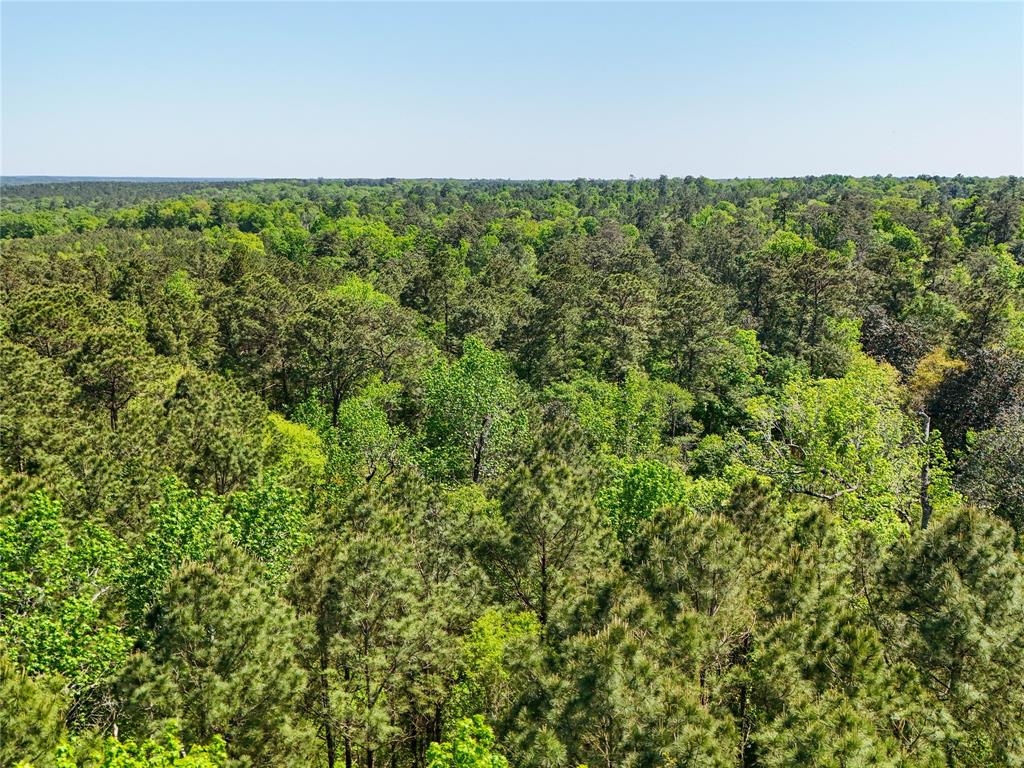TBD County Road 4269, Woodville, Texas image 32