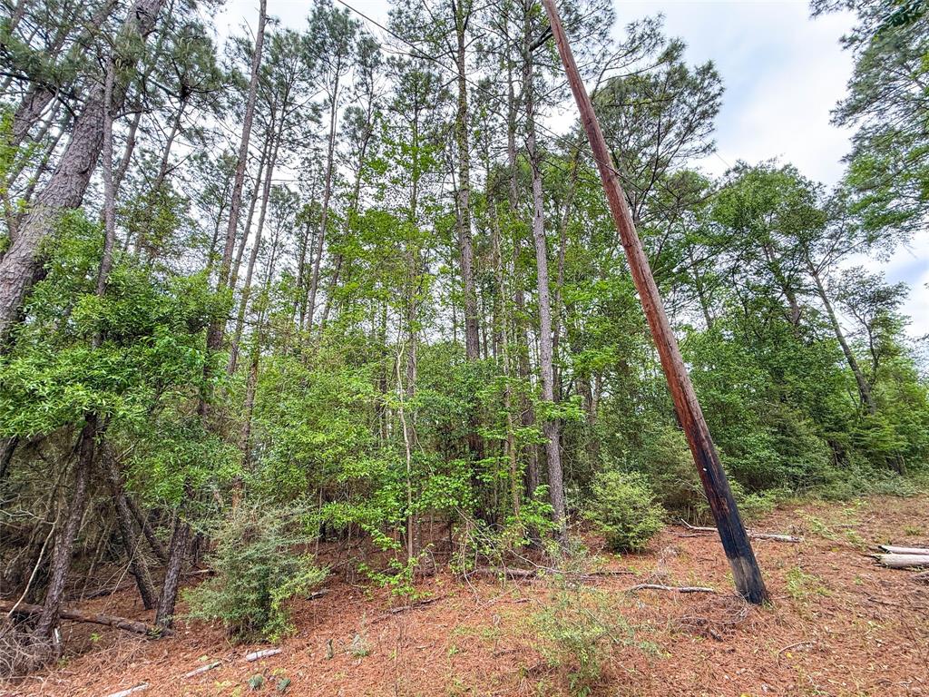 TBD County Road 4269, Woodville, Texas image 26