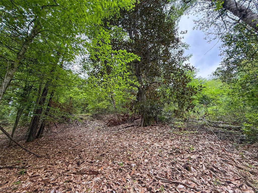 TBD County Road 4269, Woodville, Texas image 34