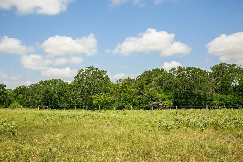 13150 Schoenemann Road, Carmine, Texas image 8