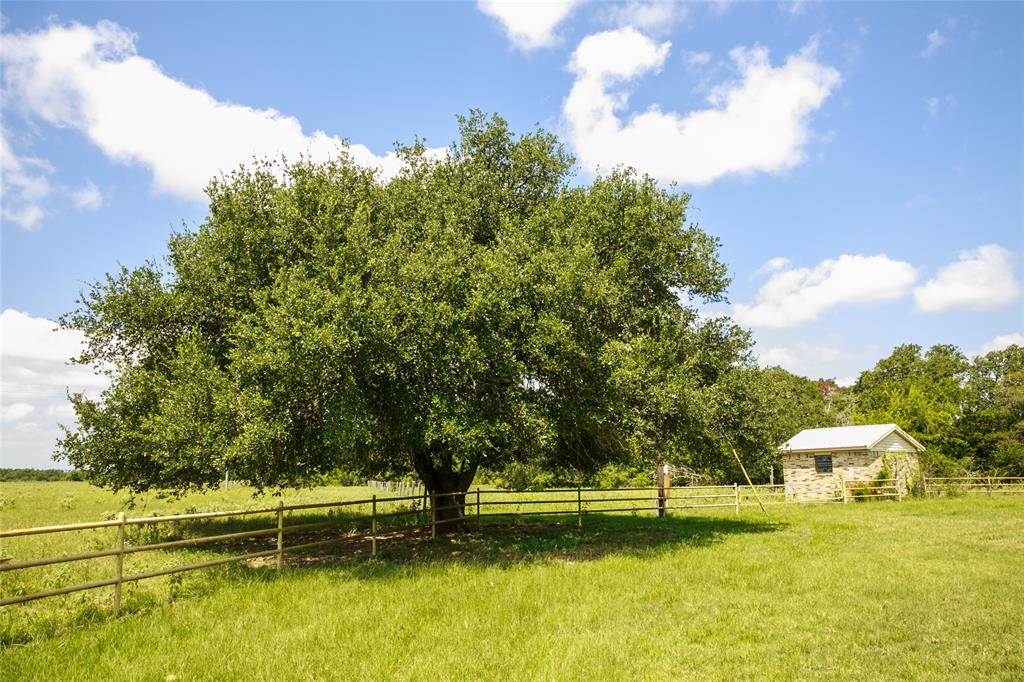 13150 Schoenemann Road, Carmine, Texas image 7