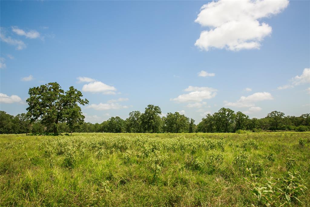 13150 Schoenemann Road, Carmine, Texas image 3