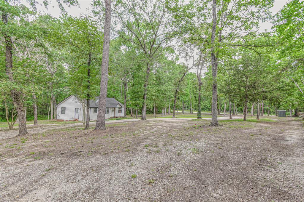 12028 Cedar Lane, Conroe, Texas image 11