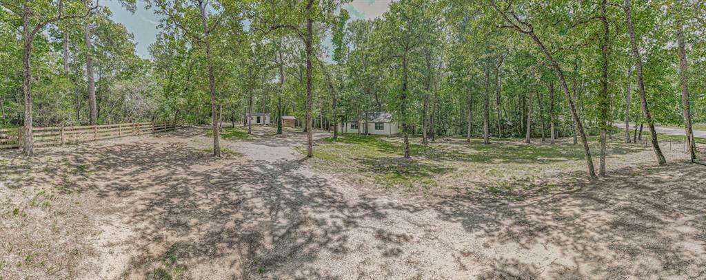 12028 Cedar Lane, Conroe, Texas image 10