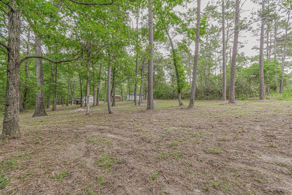 12028 Cedar Lane, Conroe, Texas image 13