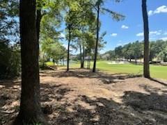 384 W Shore Lane