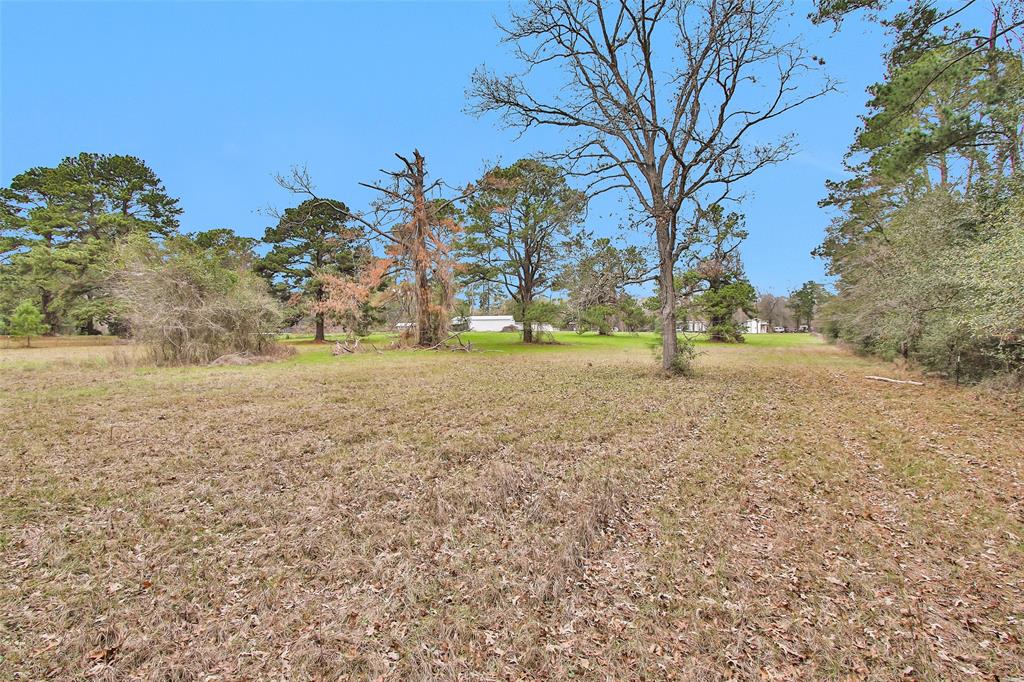 Lot 4 Paradise Point, Willis, Texas image 7