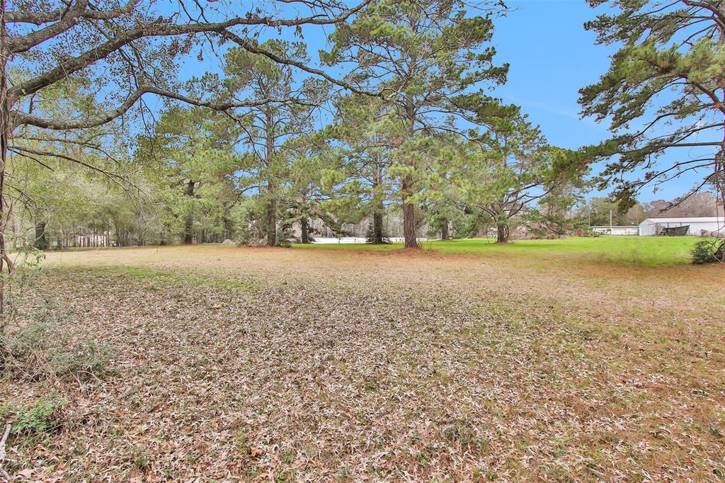 Lot 4 Paradise Point, Willis, Texas image 9