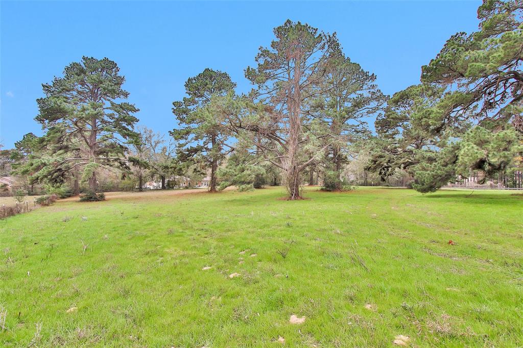Lot 4 Paradise Point, Willis, Texas image 8