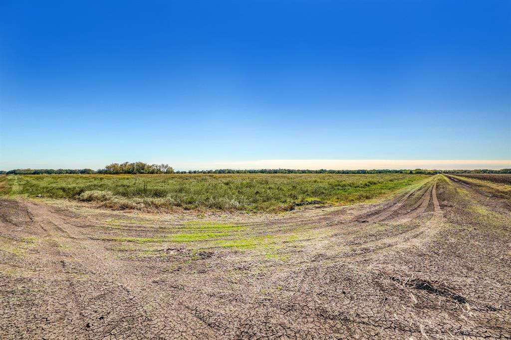 000 County Road 509 Off County Rd, Damon, Texas image 10