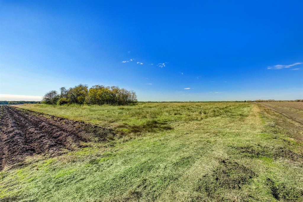 000 County Road 509 Off County Rd, Damon, Texas image 11