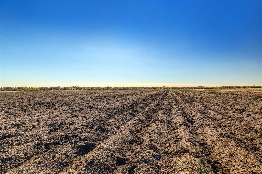 000 County Road 509 Off County Rd, Damon, Texas image 9