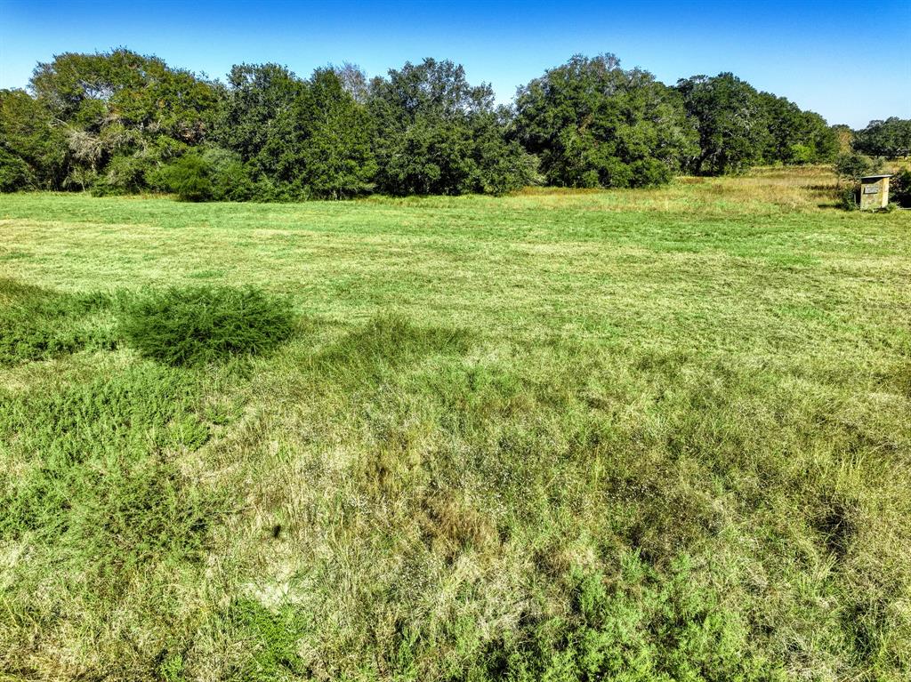 000 County Road 509 Off County Rd, Damon, Texas image 7