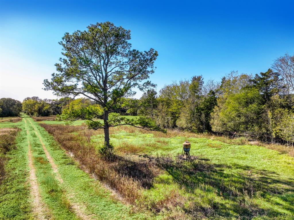 000 County Road 509 Off County Rd, Damon, Texas image 6