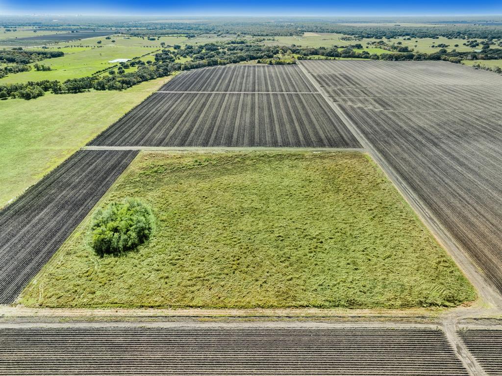 000 County Road 509 Off County Rd, Damon, Texas image 13