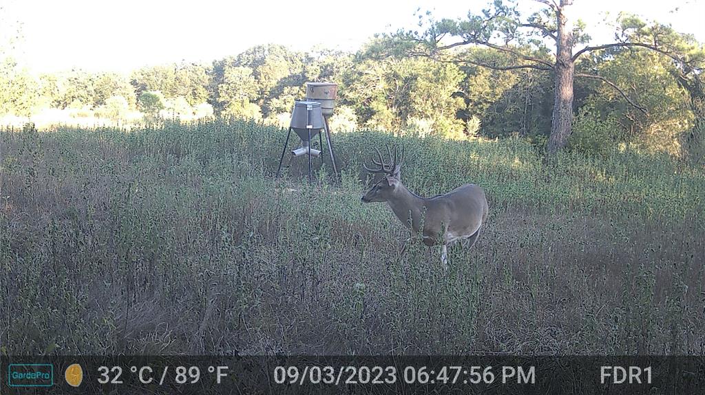 000 County Road 509 Off County Rd, Damon, Texas image 17