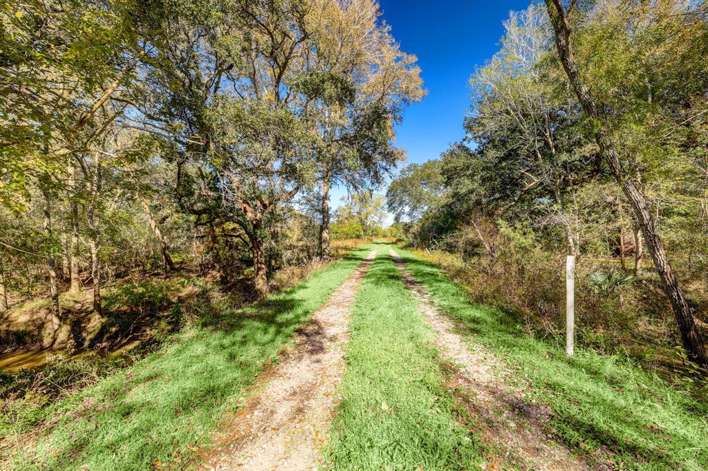 000 County Road 509 Off County Rd, Damon, Texas image 3