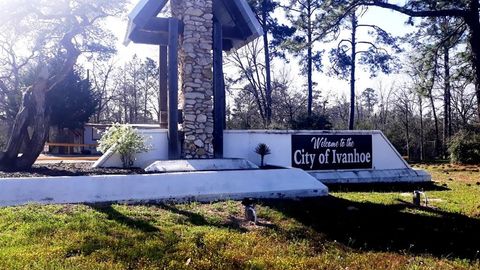 Photo of 190 Bendwood Drive, Ivanhoe, TX 75979 (MLS # 8983021)