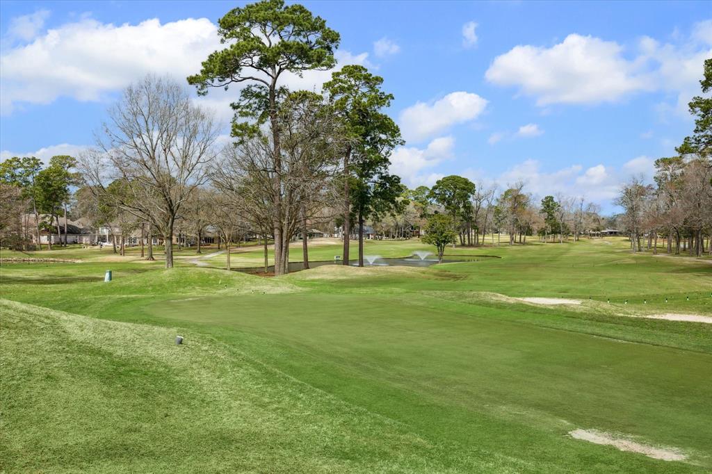 3606 Spy Glass Hill Drive, Montgomery, Texas image 28