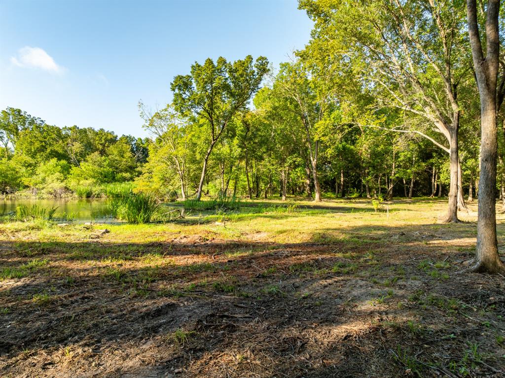 TBD County Road 750, Thornton, Texas image 34